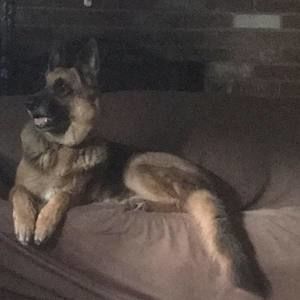 Meet your Posher, Katrina